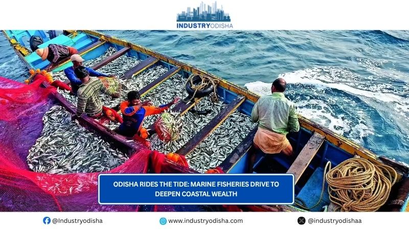 Odisha Rides the Tide: Marine Fisheries Drive to Deepen Coastal Wealth Odisha Rides the Tide: Marine Fisheries Drive to Deepen Coastal Wealth