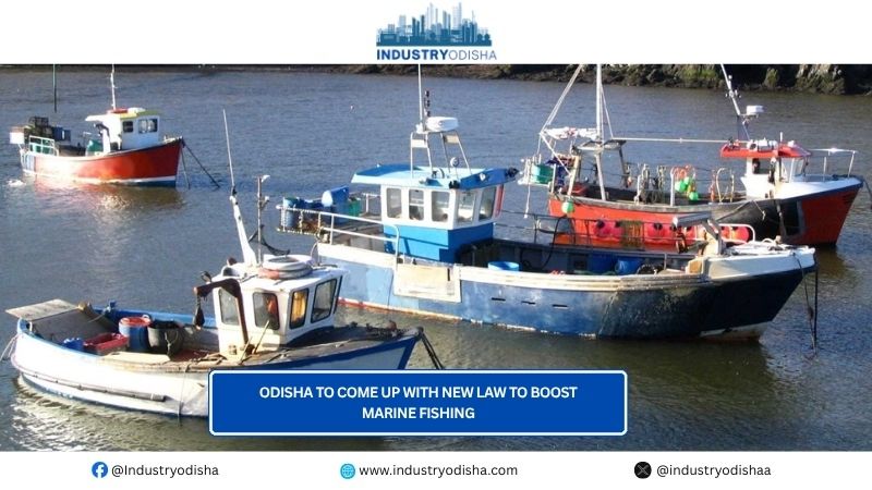 Odisha comes up with Marine Fishing Bill, to achieve Rs 25,000 crore seafood exports Odisha to come up with new law to boost marine fishing
