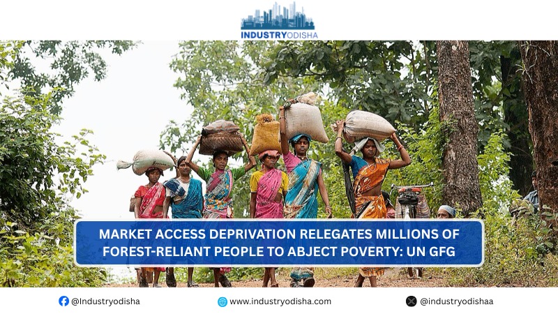 Market Access Deprivation Relegates Millions Of Forest-Reliant People To Abject Poverty: UN GFG Forest communities facing poverty due to poor market access