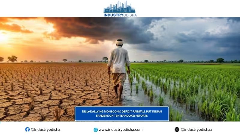 Dilly-Dallying Monsoon & Deficit Rainfall Put Indian Farmers On Tenterhooks: Reports Dilly-Dallying Monsoon & Deficit Rainfall Put Indian Farmers On Tenterhooks