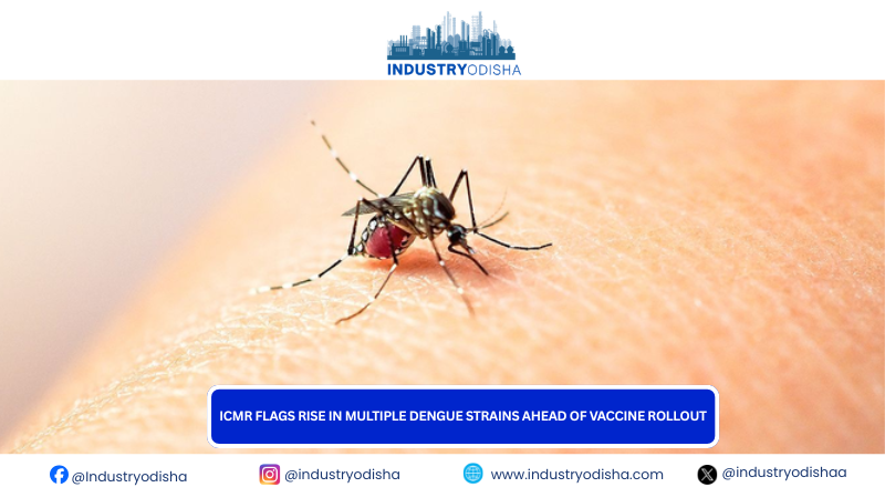 ICMR flags rise in multiple dengue strains ahead of vaccine rollout dengue strains