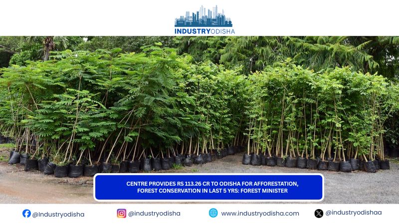 Centre provides Rs 113.26 Cr to Odisha for afforestation, forest conservation in last 5 yrs: Forest Minister