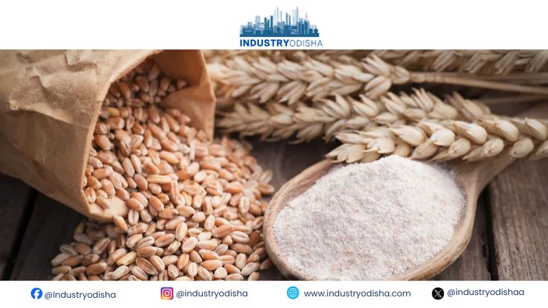 India Eases Wheat Flour Export Restrictions as Supplies Improve and Prices Soften