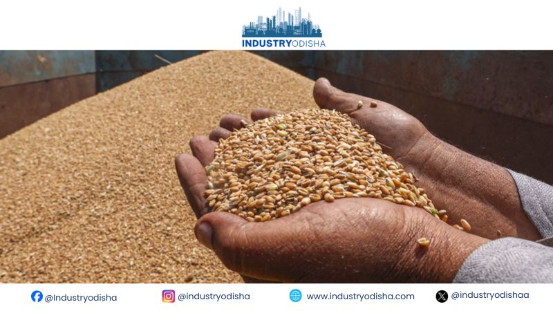 India lifts wheat export ban to support farmers amid weak prices wheat exports ban