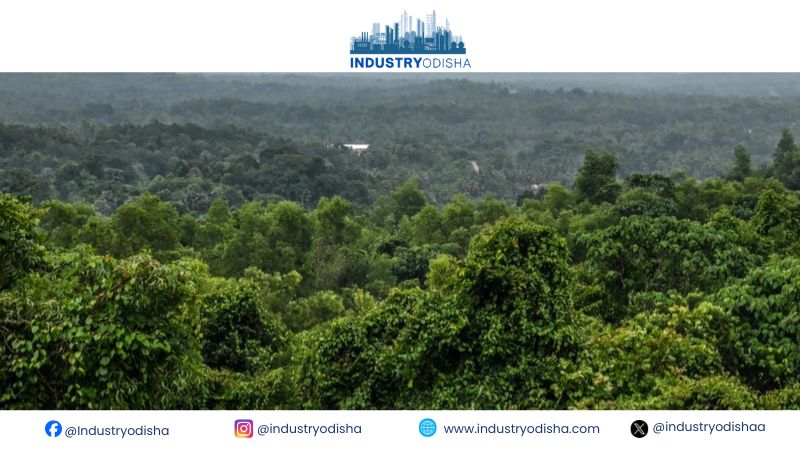 12716 Ha forest land diverted for non-forestry purpose in Odisha in 5 years