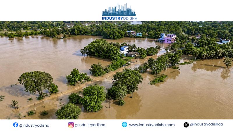 Odisha CM announces Rs 1,000-crore package for flood affected people