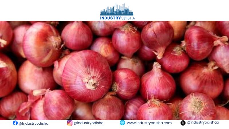 India’s onion crisis demands better storage and steadier export policy management India Onion Crisis