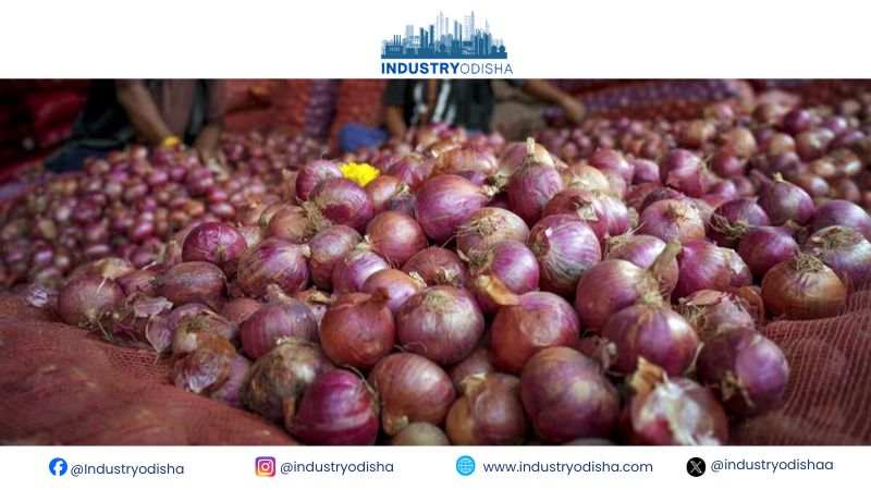 Govt Sells 4,000 Tonnes Buffer Onions Across 17 Cities In India