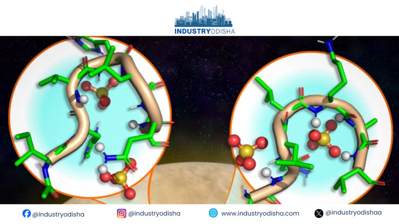 Peptides Survive in Sulphuric Acid, Raising Astrobiology Questions