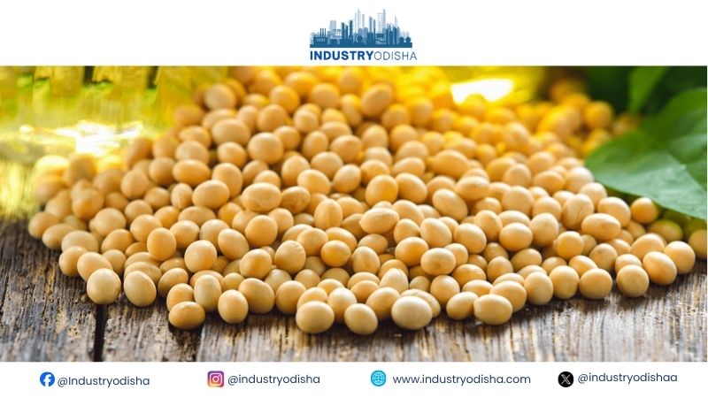 India Soybean Imports Near Record High as Domestic Supply Tightens