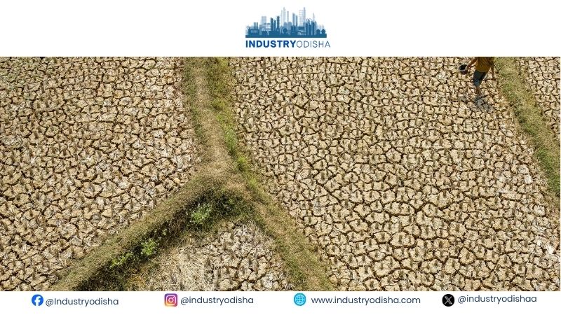Asia’s rice and palm oil belts brace for El Niño drought