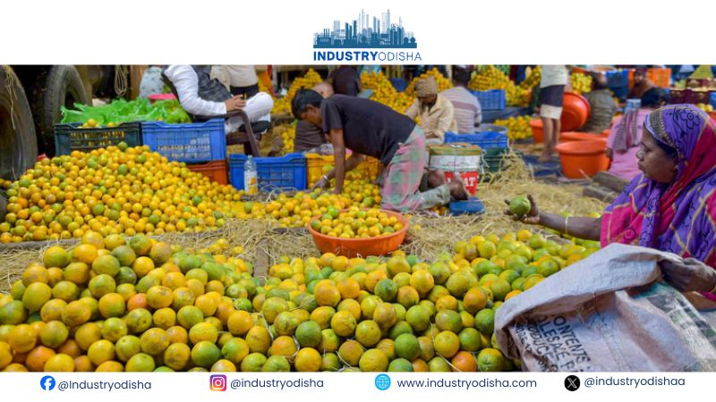 India WPI Inflation Rises To 9.92% As Food, Fuel Costs Climb