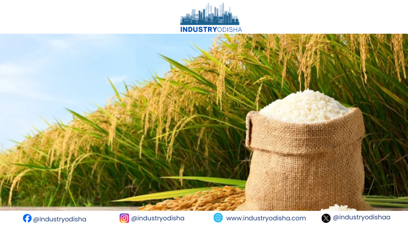 US Questions India’s Rice Stock Use for Ethanol as Food Security Scrutiny Grows