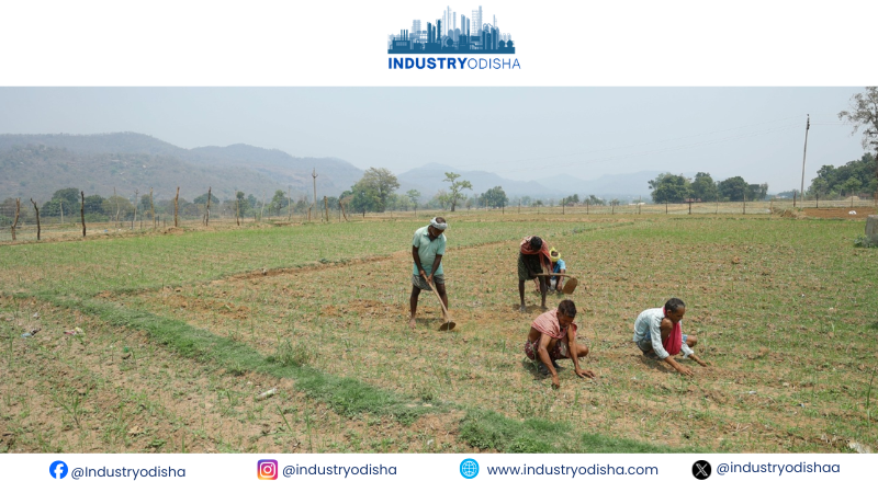 Vedanta Aluminium’s Project Sangam Strengthens Irrigation Access in Rural Kalahandi vedanta aluminium project sangam