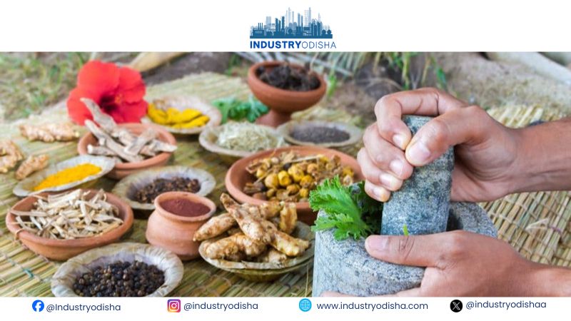 Ayurveda Eyes Global Growth as Research Powers Ayush Market Expansion