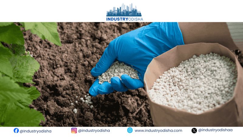 Natural Gas Imports Rise as Fertilizer, CNG Demand Defies Price Surge
