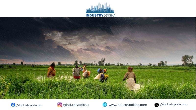 Rains Are Gone, but the Weakest Monsoon Still Strains Farms