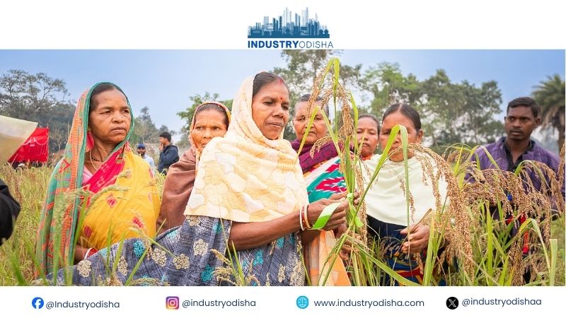 Women Take the Lead in Odisha’s Farm Renaissance