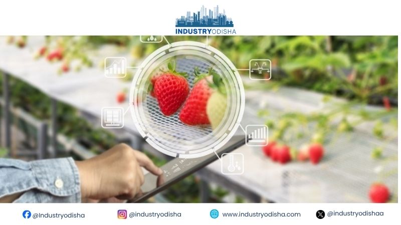Food Procurement’s Future Lies in Data-Driven Decisions