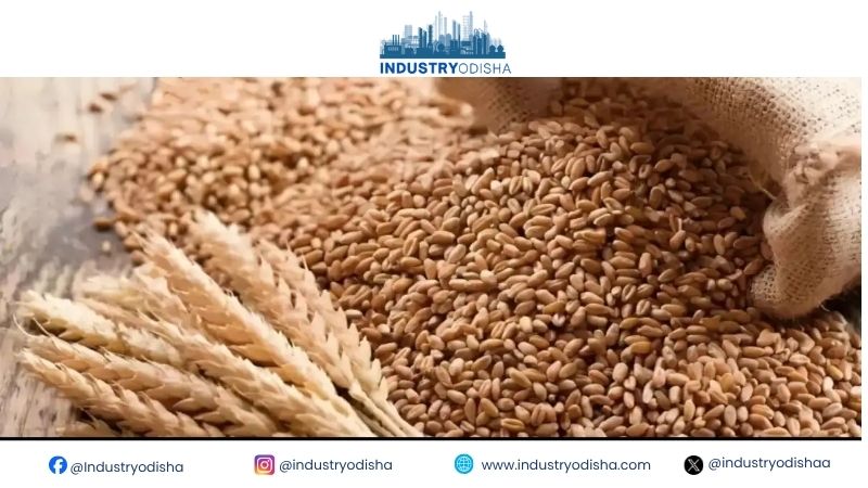 Millers Want More Wheat, but Government Cuts Weekly Auction Allocation