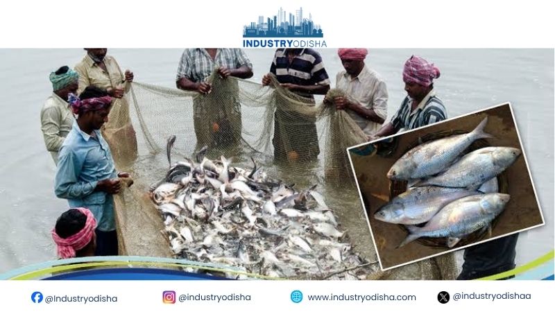 Odisha Charts a Bold Course for Value Driven Fisheries