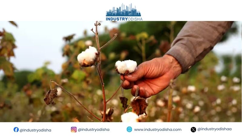 Duty-Free Cotton Imports Get Two More Months