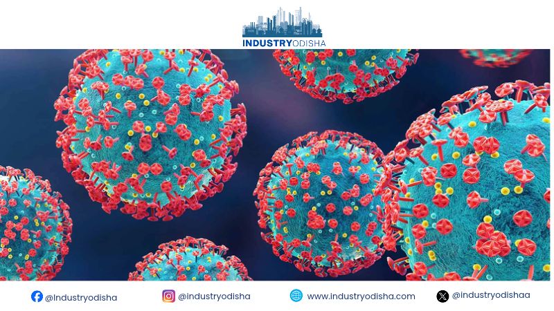 What is Shamonda virus? First known human infection reported; symptoms, transmission and risks explained shamonda virus